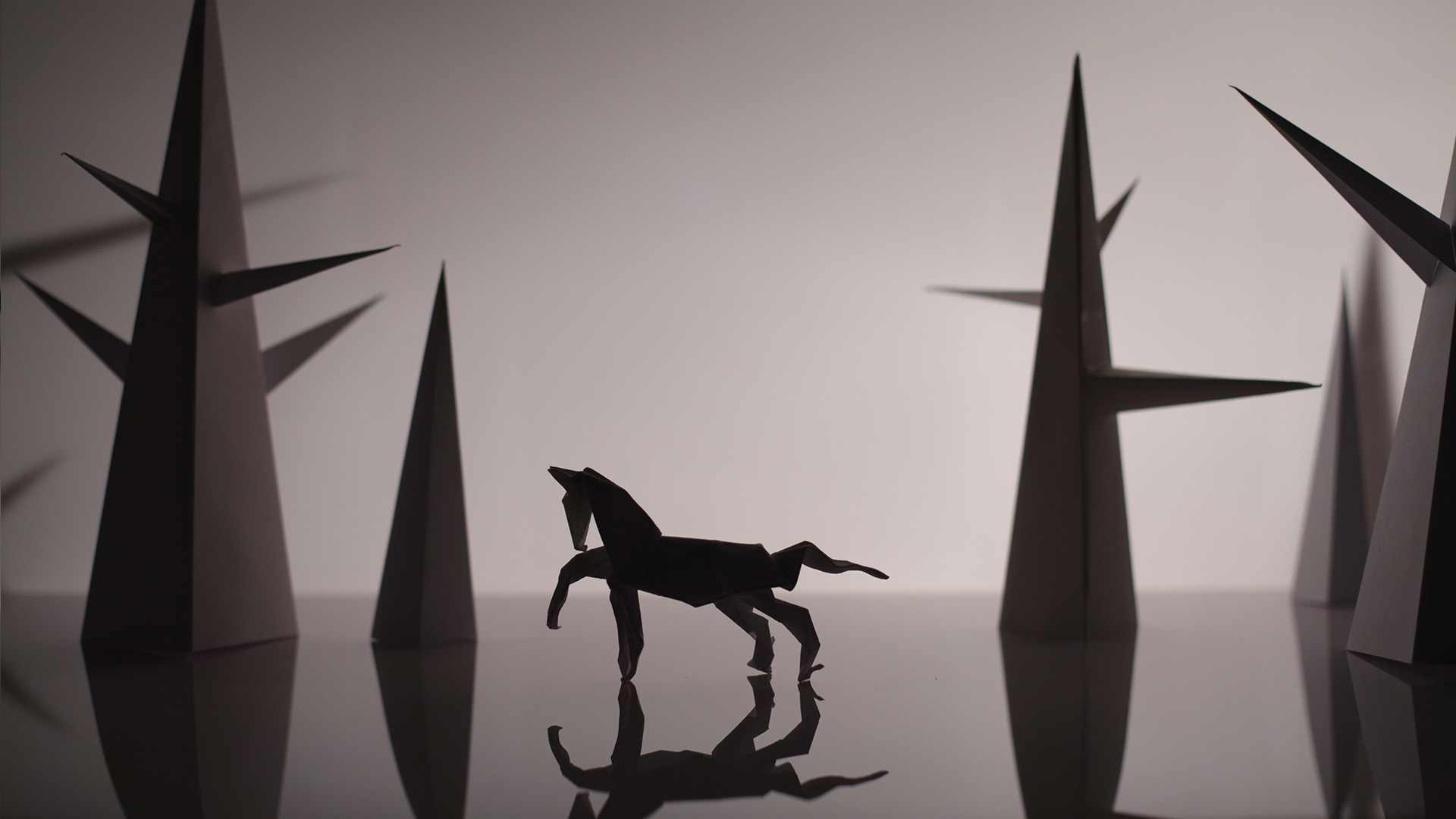 Video Exhibit